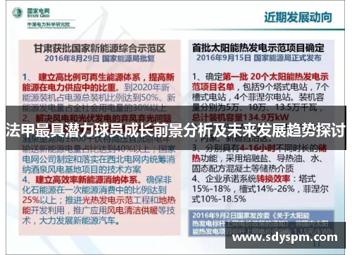 法甲最具潜力球员成长前景分析及未来发展趋势探讨