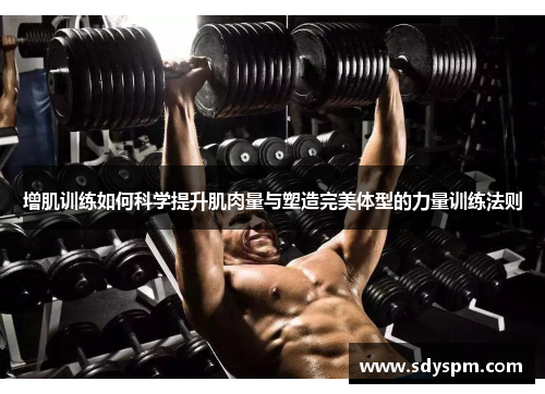 增肌训练如何科学提升肌肉量与塑造完美体型的力量训练法则