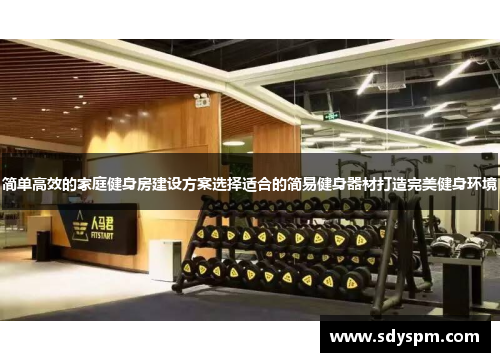 简单高效的家庭健身房建设方案选择适合的简易健身器材打造完美健身环境